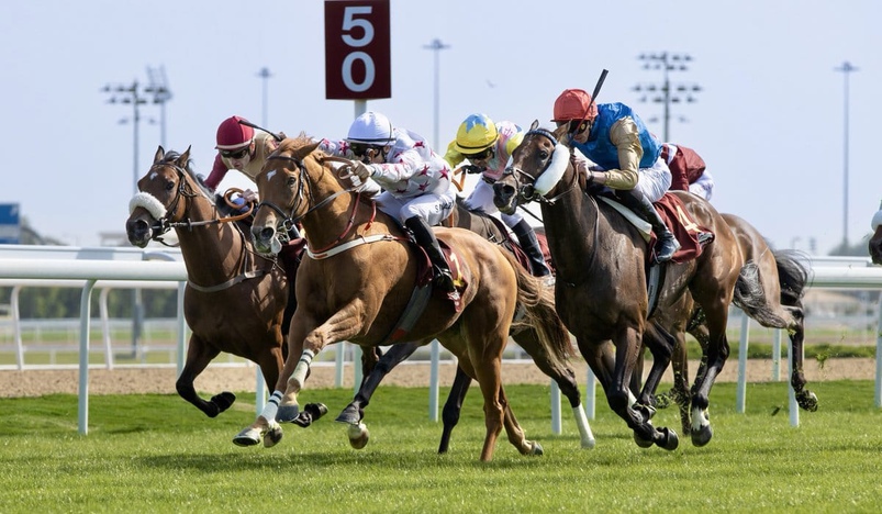 Sheikh Joaan bin Hamad Al-Thani Rifle and Trophy